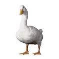 Aflac Duck's Avatar